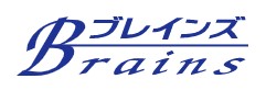 株式会社ブレインズ